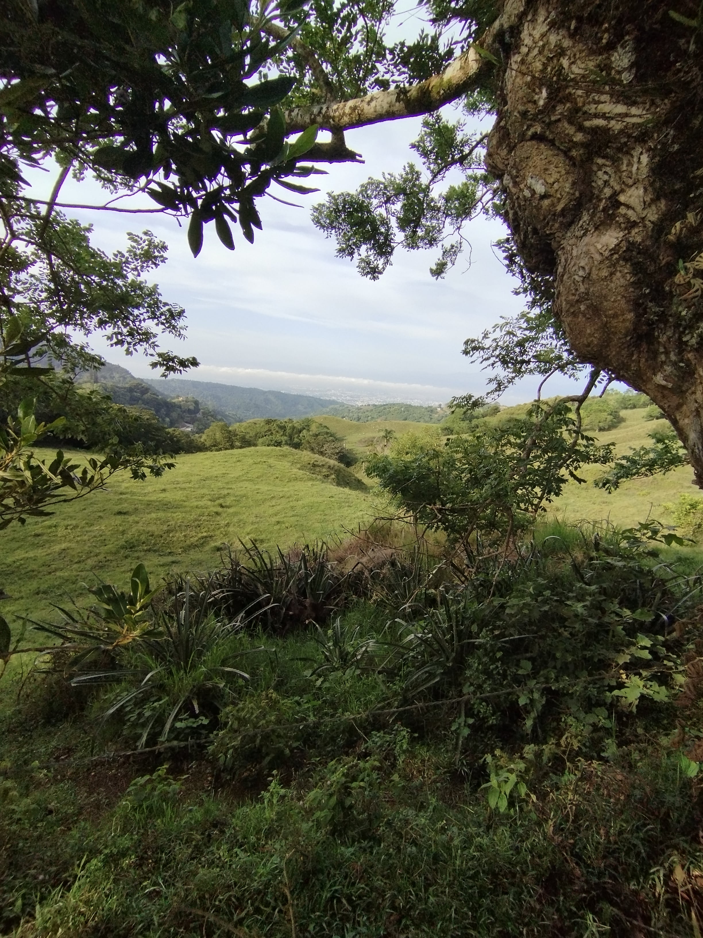La Cumbre
