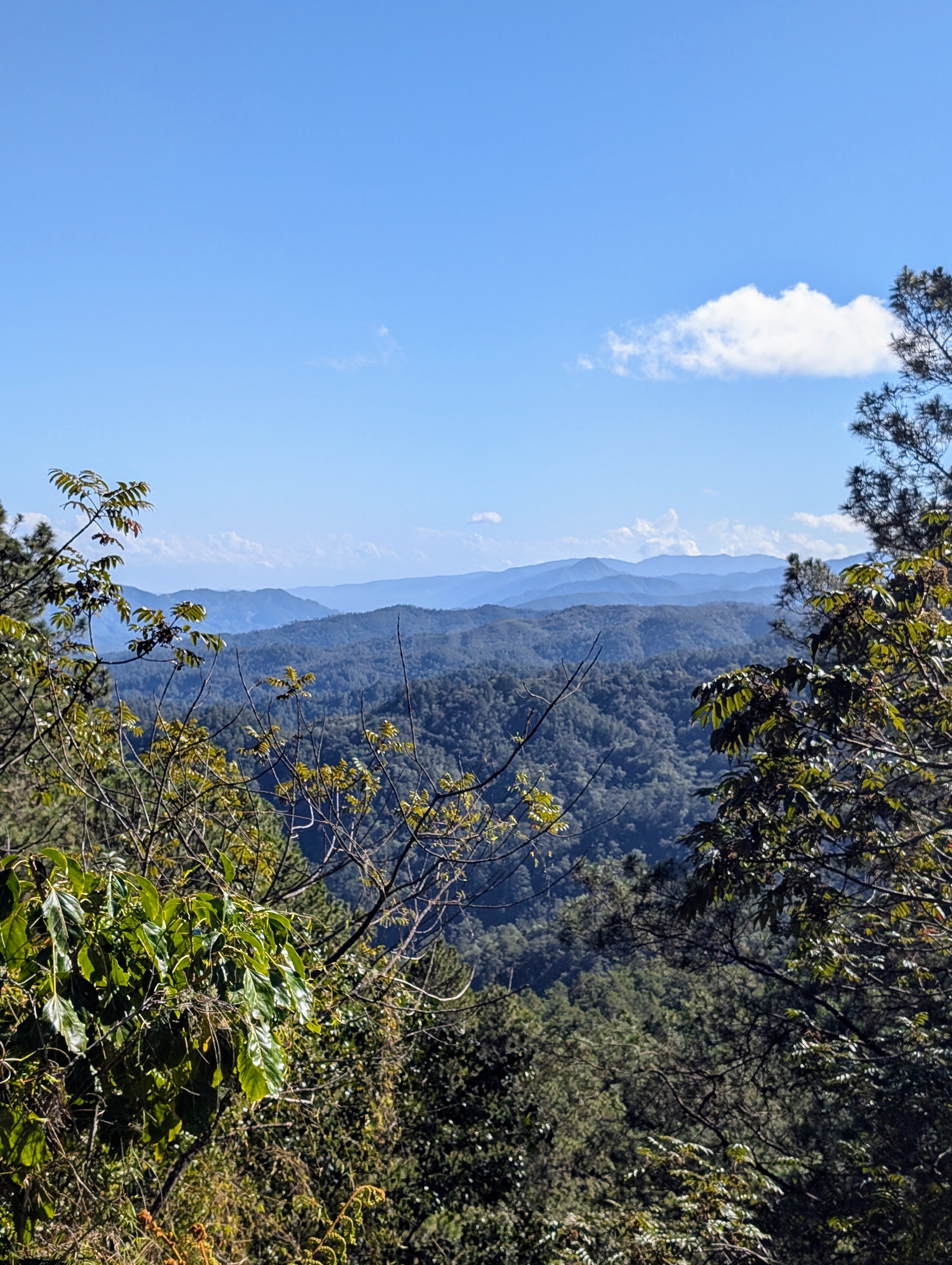 Ruta La Ciénega de Manabao – Cruce del Tetero