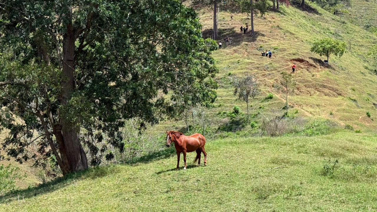 Sendero La Guaimita