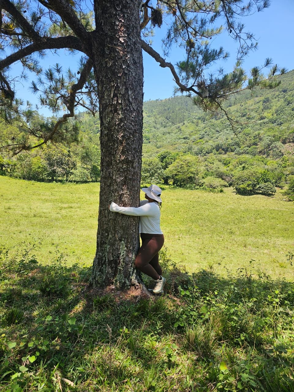 Sendero Los Montazos Guanajuma